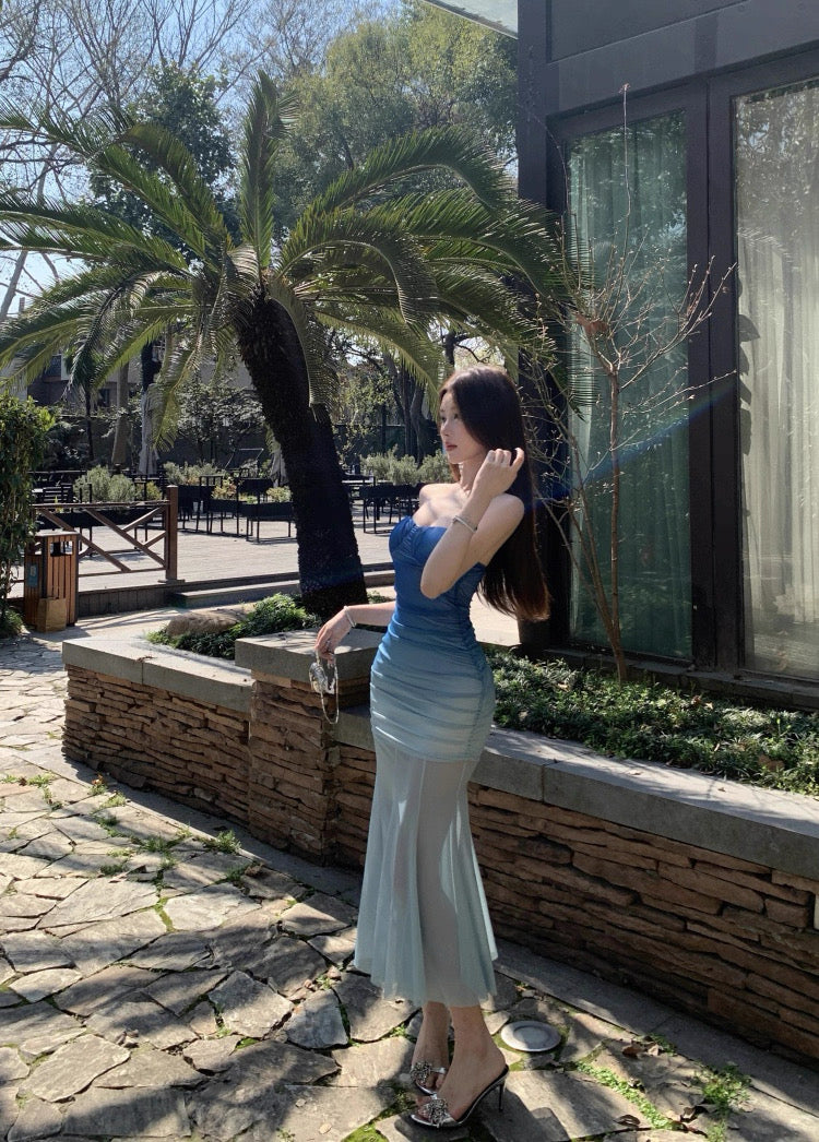 Ombré Blue Tube Long Dress
