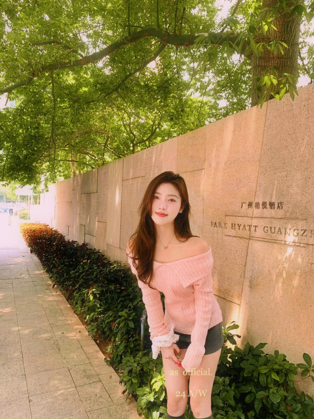 V Collar Knitted Long Sleeve Top (Pink, Beige)