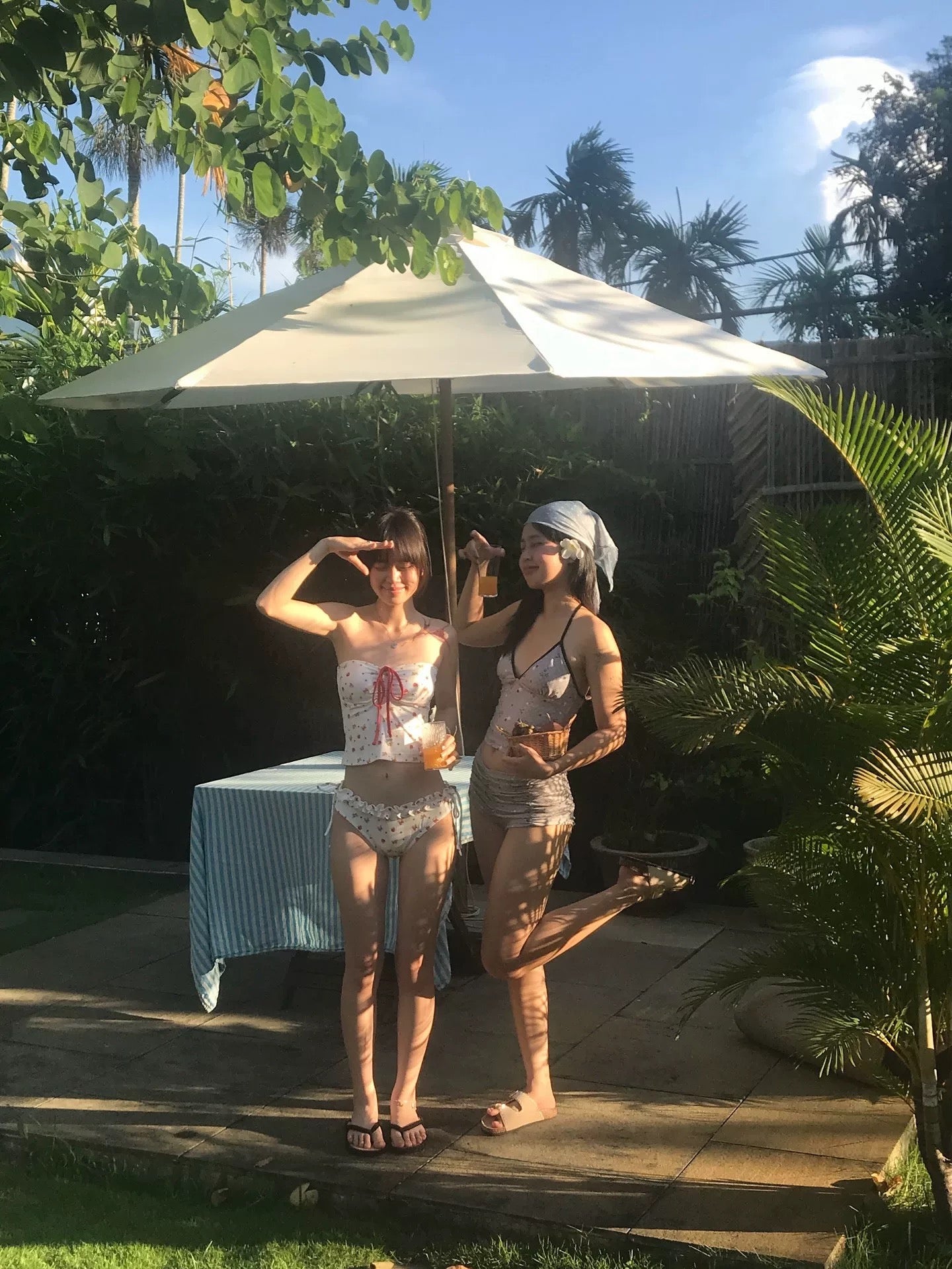 BK29 Strawberries Bikini Two Piece Set