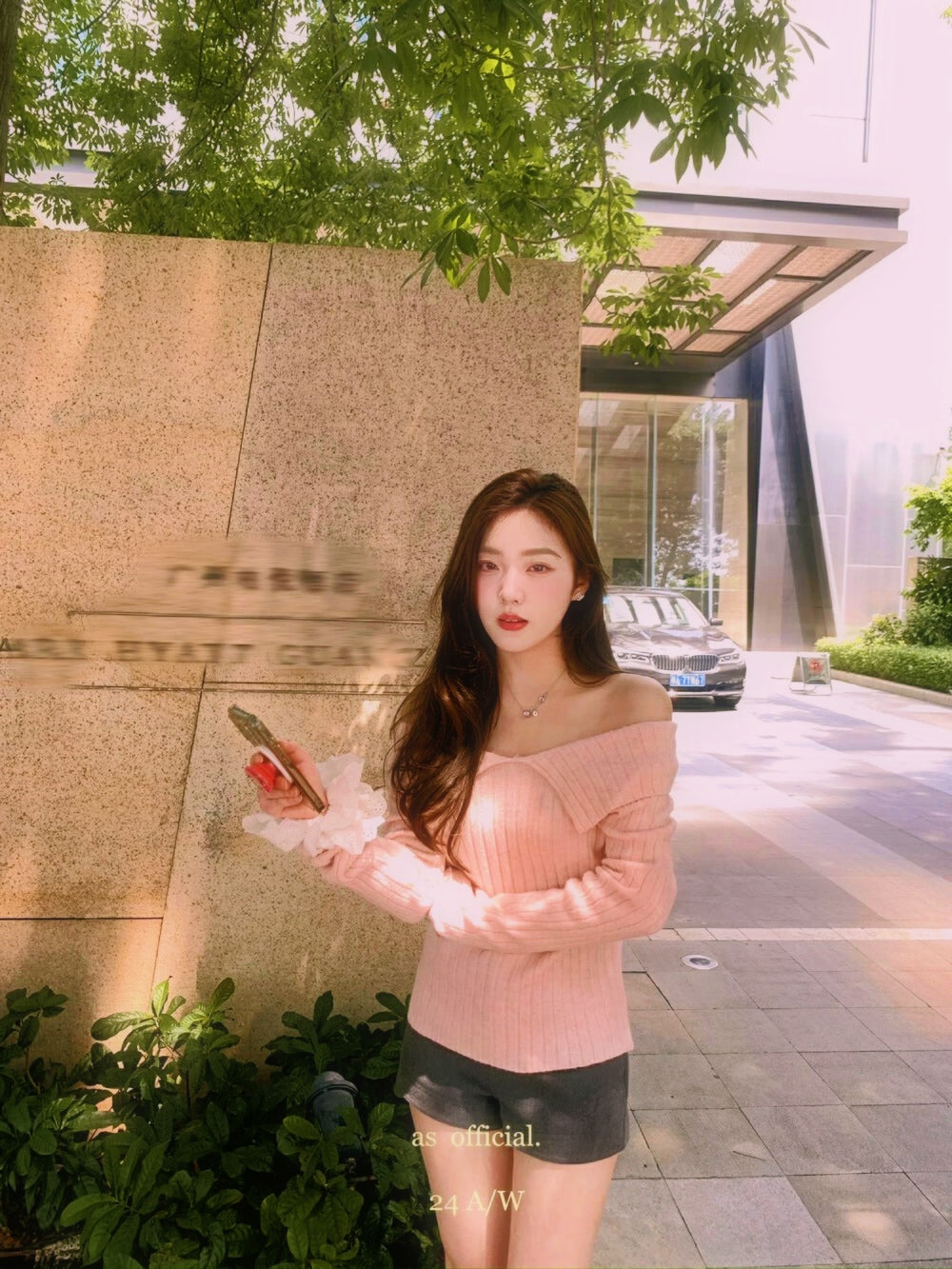 V Collar Knitted Long Sleeve Top (Pink, Beige)