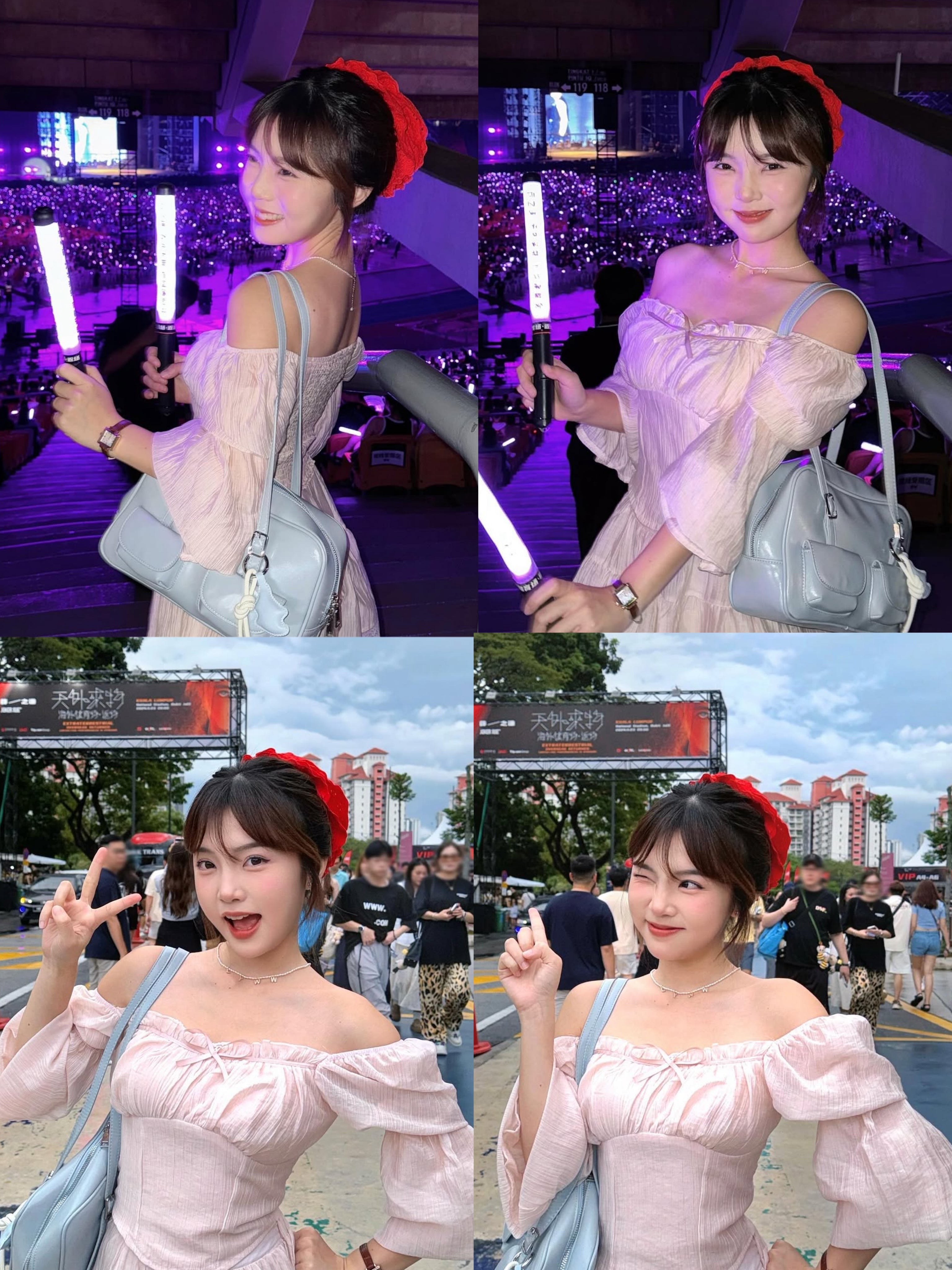 Pink Long Sleeve Top + Skirt Two Pieces Set