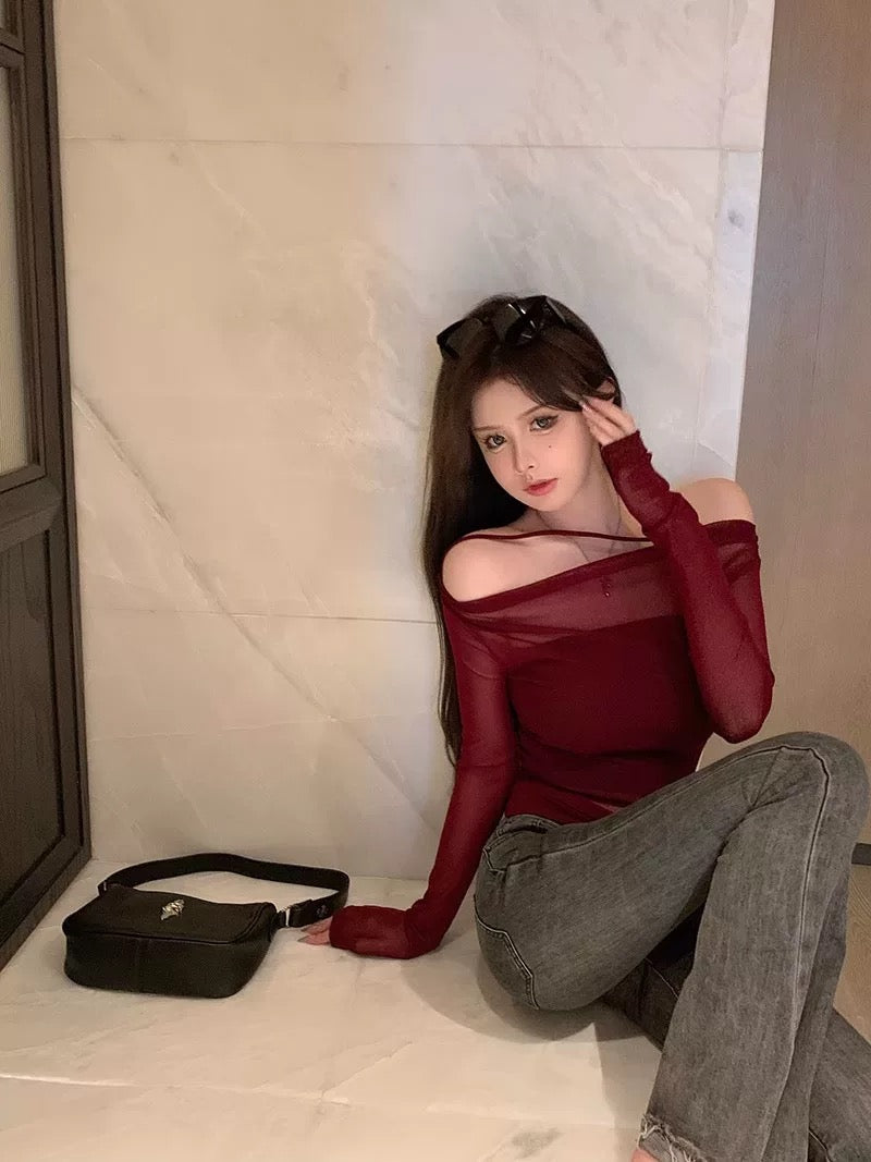 Mesh Off Side Shoulder Long Sleeve Top with tube