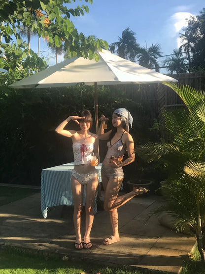 BK29 Strawberries Bikini Two Piece Set