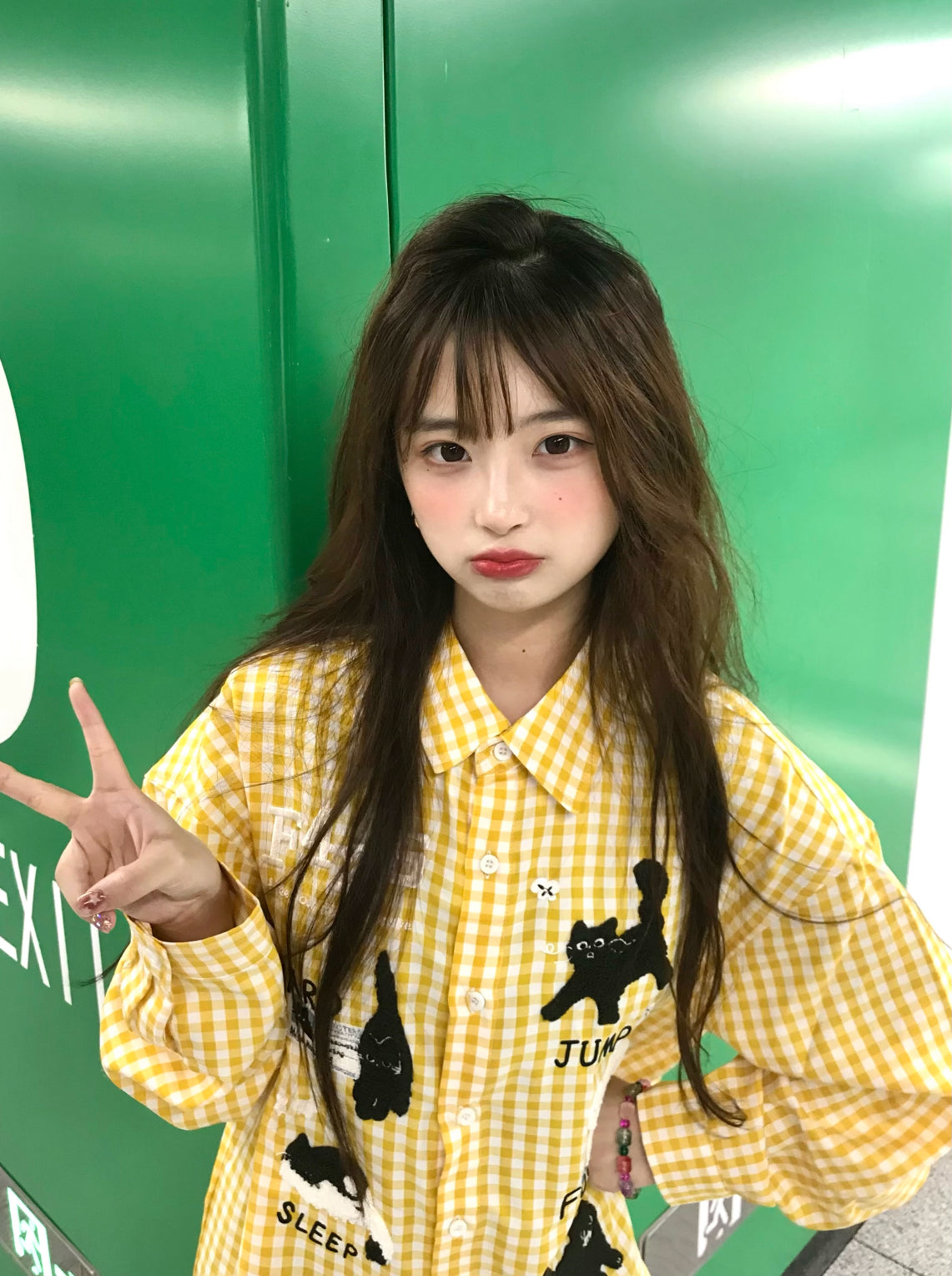 Cute Print Ginham Long Sleeve Shirt (Blue, Yellow)