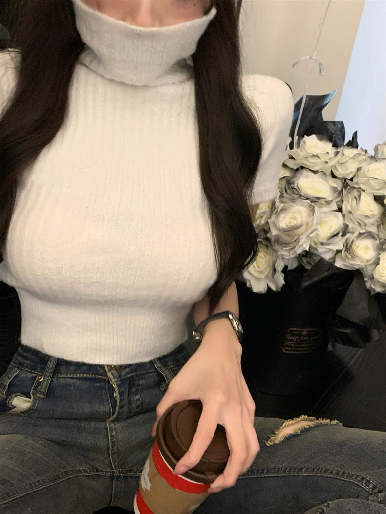 White Short Sleeve Knitted Top